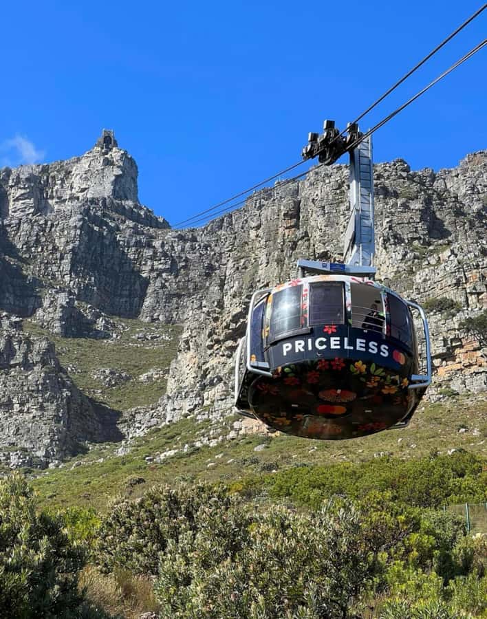 Cape Town: Robben Island Tour Tickets and V&A Waterfront - Bus rides, the Mandela cell, and the long walk to freedom