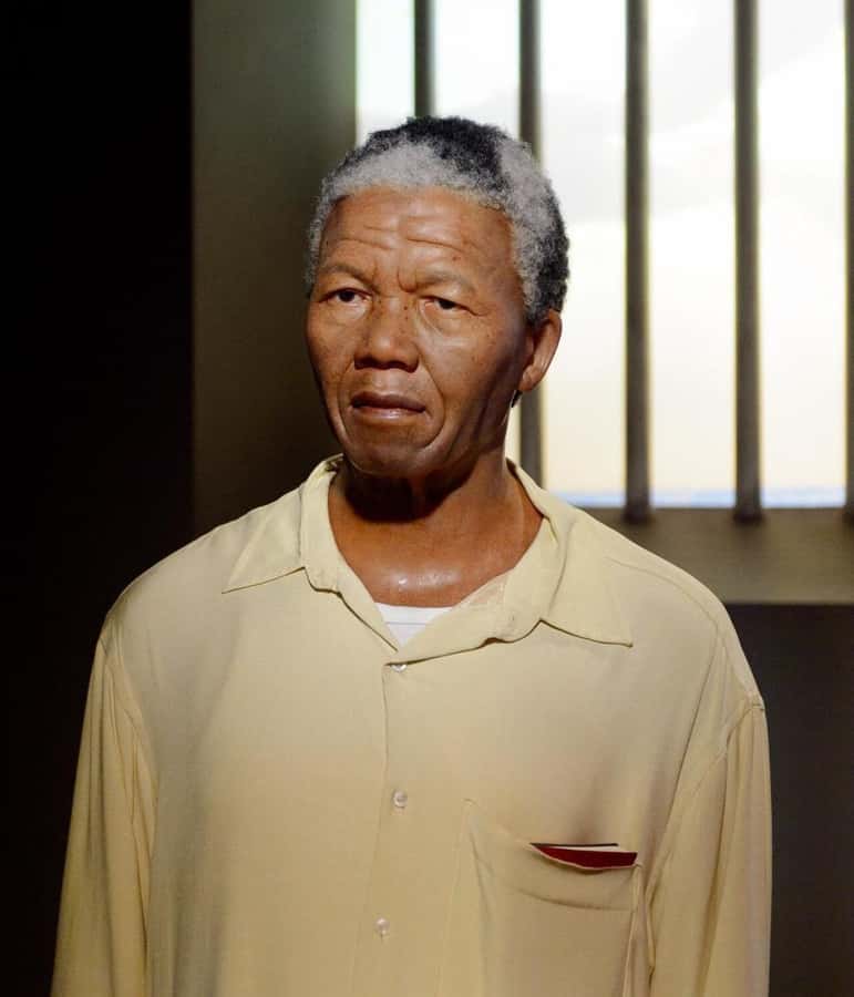 Cape Town: Robben Island Tour Tickets and V&A Waterfront - Back to shore, then straight to the V&A Waterfront views and atmosphere