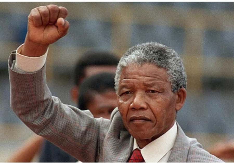 Cape Town: Robben Island Tour Tickets and V&A Waterfront - Meeting a former political prisoner, why that changes everything
