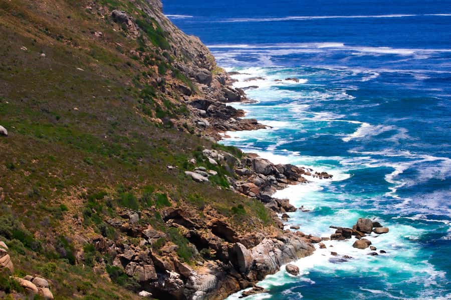 Cape Town's Best: Cape Point & Boulders Beach Group Tour - Boulders Beach Penguin Colony: the highlight you plan around