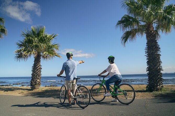 Cape Town's Finest City Bike Tour - What makes the ride feel good: helmets, bike condition, and pace