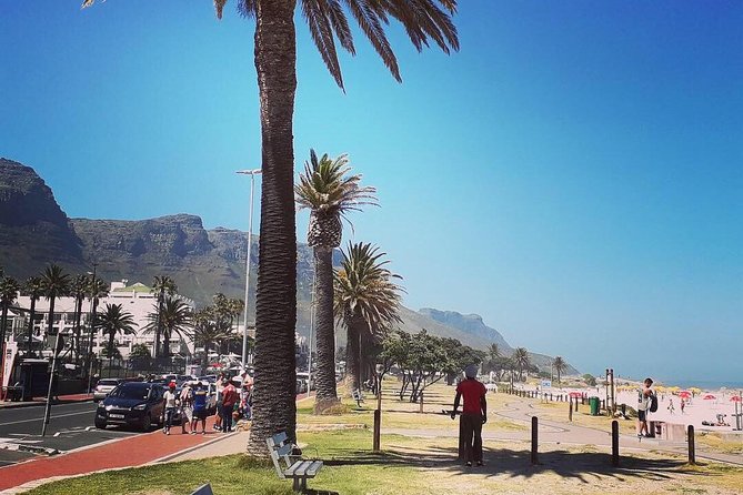 Cape Town's Finest City Bike Tour - Why not planning the route is the real win