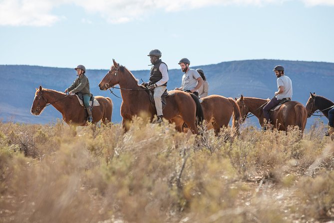 Cape Town Safari Big 5 experience all inclusive - Big Five on Aquila Game Reserve, close enough for a true day trip