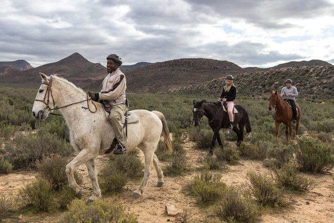 Cape Town Safari Big 5 experience all inclusive - Price and value: what you are really paying for