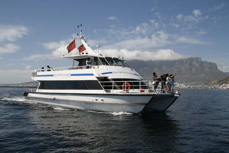 Cape Town: Scenic 1-Hour Coastal Catamaran Cruise - Key highlights to know before you go