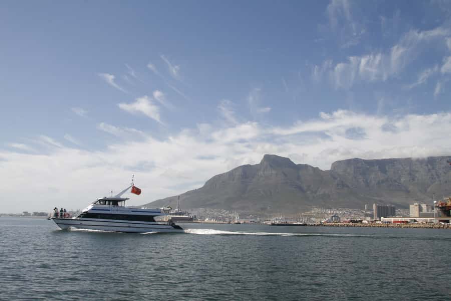Cape Town: Scenic 1-Hour Coastal Catamaran Cruise - Weather reality: rain or shine, and why the Atlantic can feel colder than you expect