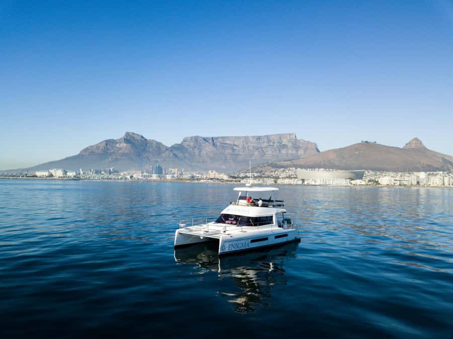 Cape Town: Scenic 1-Hour Coastal Catamaran Cruise - V&A Waterfront check-in at Quay 5, Shop 5