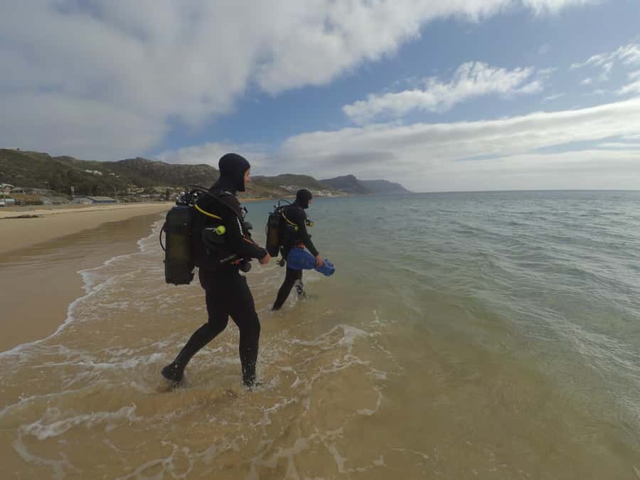 Cape Town: Scuba Diving Experience for Beginners - Key things you’ll notice right away