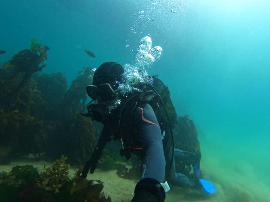 Cape Town: Scuba Diving Experience for Beginners - Gear and comfort: what to expect from the wetsuit fit