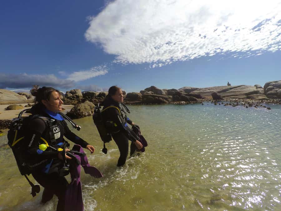 Cape Town: Scuba Diving Experience for Beginners - Who should book this, and who should skip it