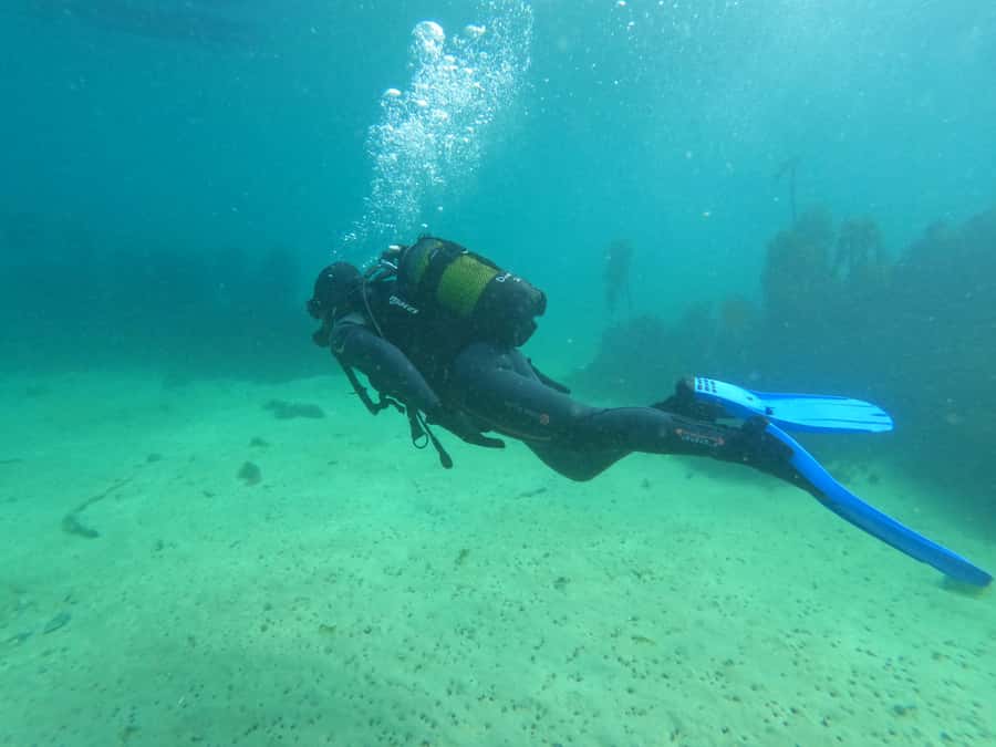 Cape Town: Scuba Diving Experience for Beginners - A simple checklist before you go