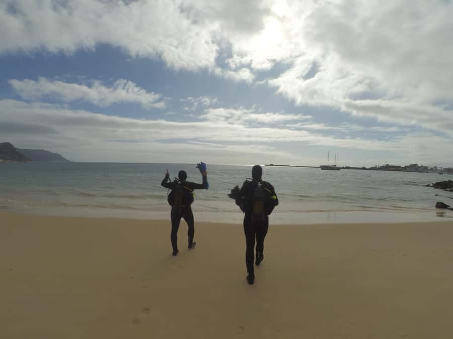 Cape Town: Scuba Diving Experience for Beginners - The Simon’s Town safety briefing that actually helps beginners