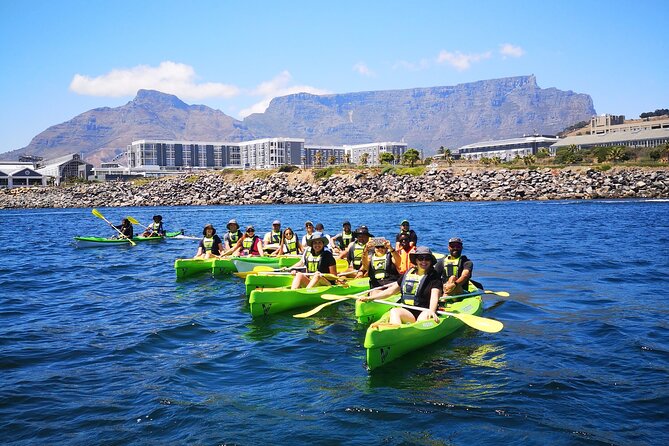 Cape Town Sea Kayaking Adventure launching from V&A Waterfront - V&A Waterfront Launch, Fast Access to Real Sea Views