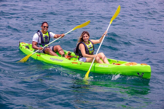 Cape Town Sea Kayaking Adventure launching from V&A Waterfront - Wildlife Chances: Dolphins, Seals, Sunfish, and Sometimes More