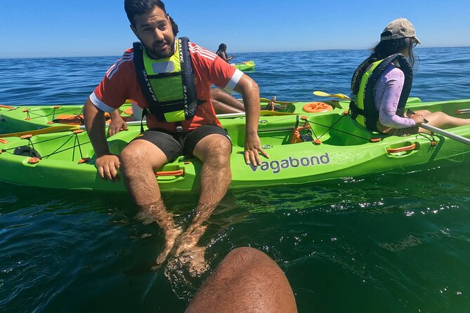 Cape Town Sea Kayaking Adventure launching from V&A Waterfront - Beginner-Friendly, But Still Pay Attention to Your Form