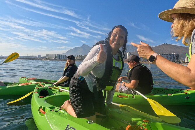 Cape Town Sea Kayaking Adventure launching from V&A Waterfront - Price and Value: Is $30.59 Worth It for 90 Minutes?