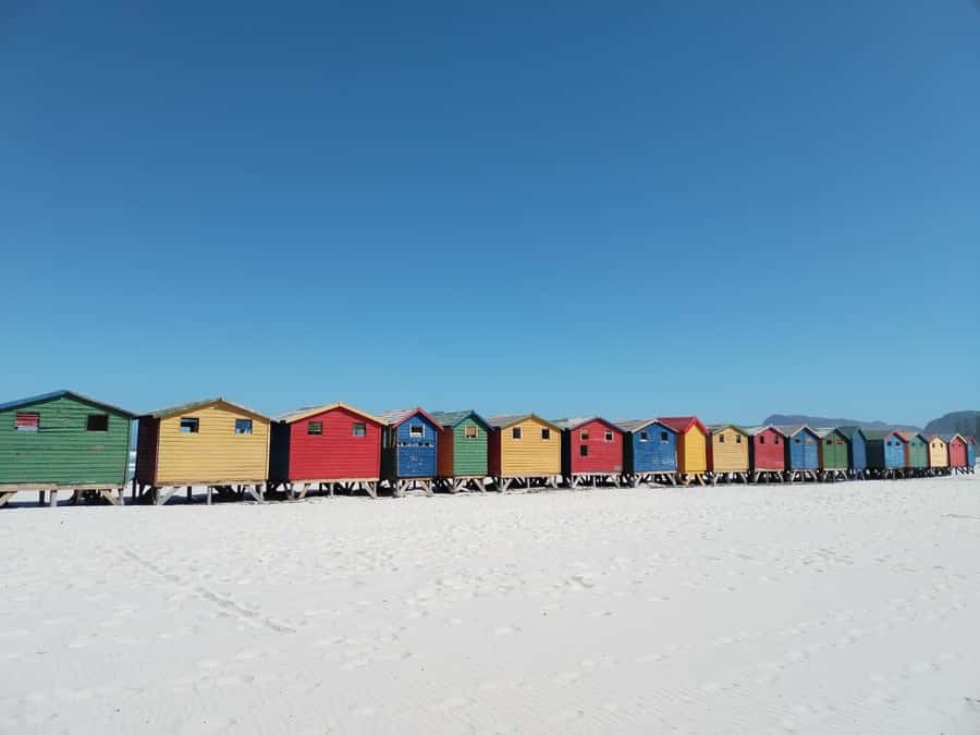 Cape Town: Seal Island, Cape of Good Hope& Penguins Private - Hout Bay and Seal Island: ferry time, big colonies, and a “slow down” moment