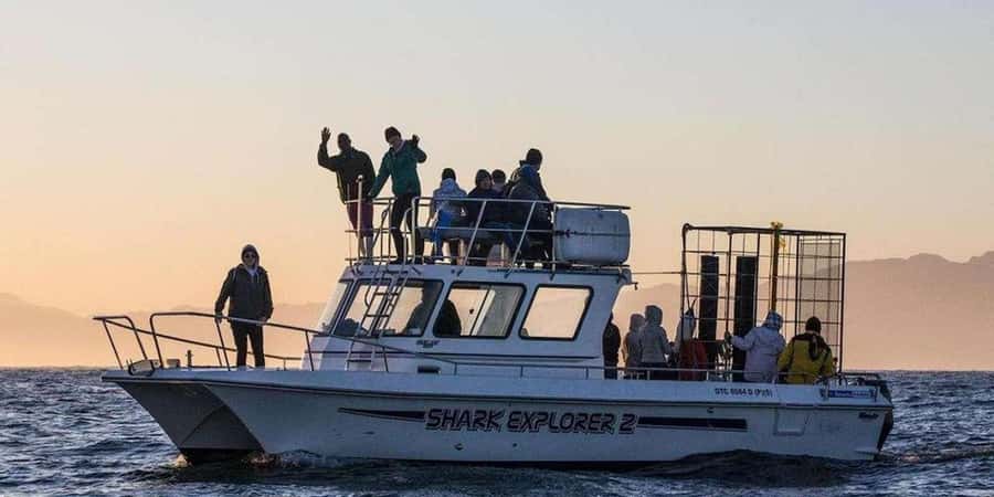 Cape Town: Shark Cage Diving Tour (with Breakfast & Lunch) - From Cape Town to Gansbaai: the morning drive and breakfast hit