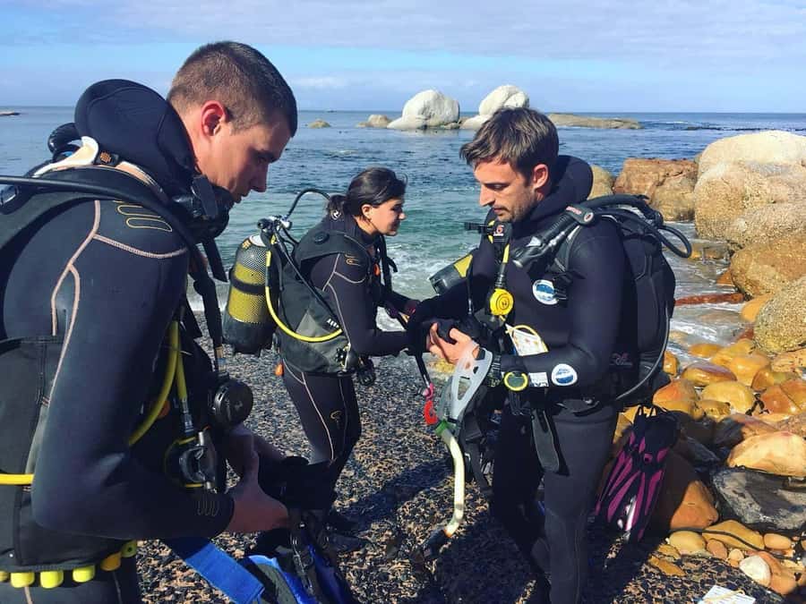 Cape Town: Shark Science SCUBA Diving Experience - Gear, gear rules, and what to bring