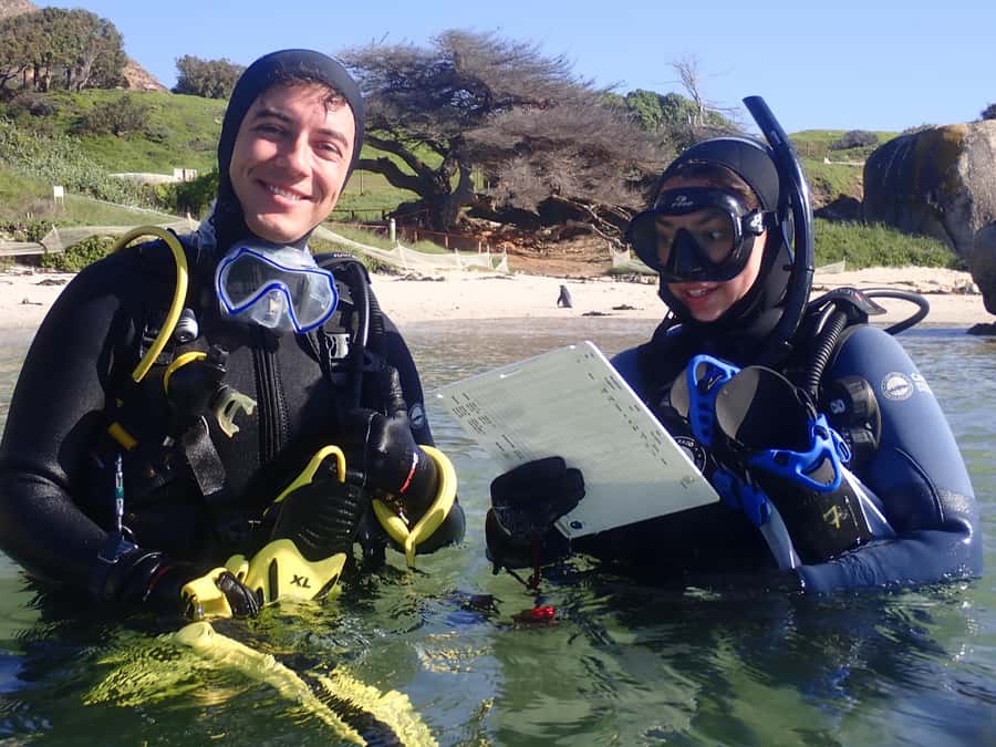 Cape Town: Shark Science SCUBA Diving Experience - Safety briefing and why it sets the tone