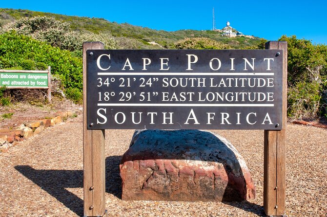Cape Town Shore Tour: Table Mountain, Penguin & Cape Point - Chapmans Peak Drive: A Scenic Cliff Stretch That’s Worth the Toll