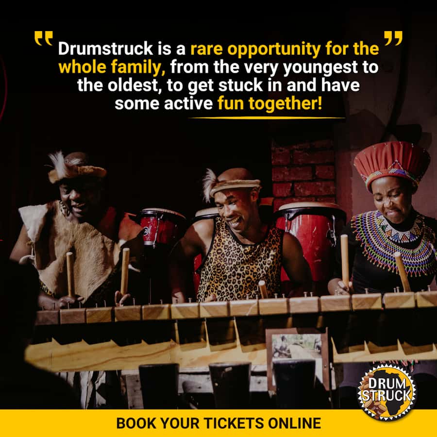 Cape Town: Silvermist Estate Wine Tasting & Drumstruck Show - Optional braai and marimba, and how to plan your timing