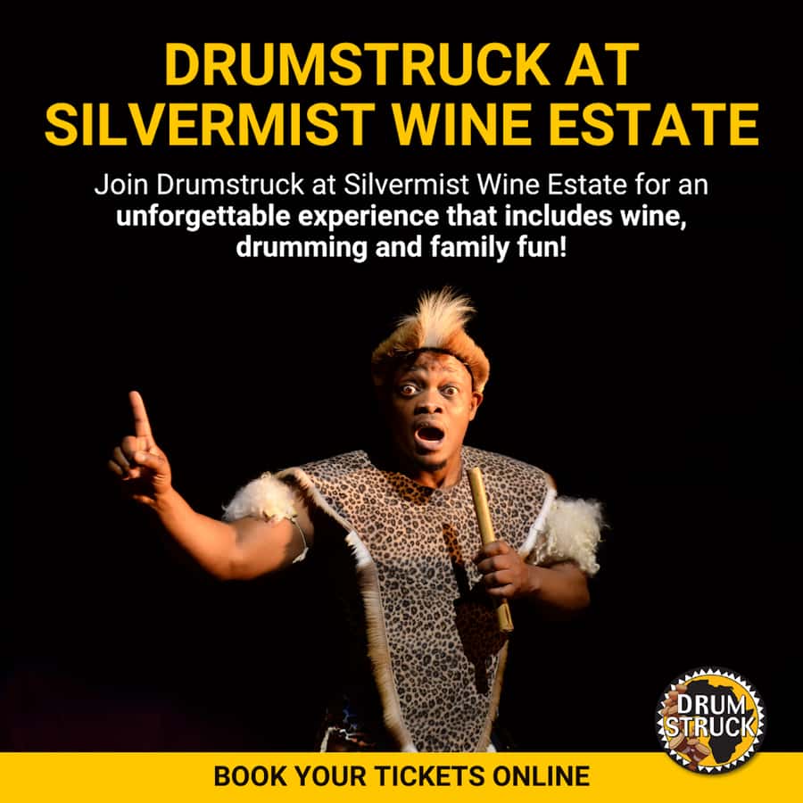Cape Town: Silvermist Estate Wine Tasting & Drumstruck Show - What I’d do to get the best value for $28
