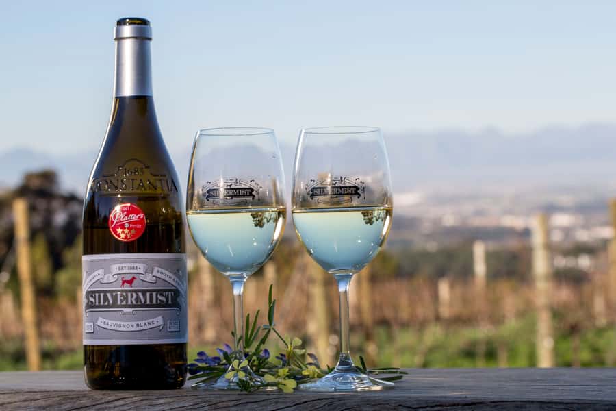 Cape Town: Silvermist Estate Wine Tasting & Drumstruck Show - Who this fits best, and who might want a different choice