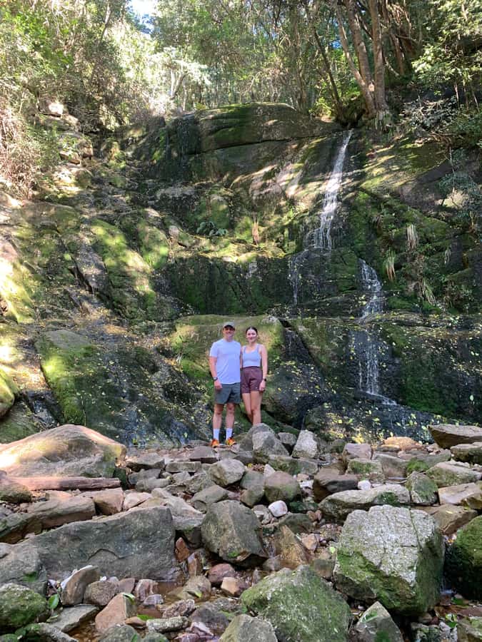 Cape Town: Skeleton Gorge and Kirstenbosch Gardens Hike - Enter Kirstenbosch: fynbos, shade, and plant spotting before the climb