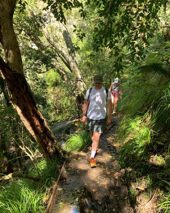 Cape Town: Skeleton Gorge and Kirstenbosch Gardens Hike - Skeleton Gorge proper: forested steps, waterfalls, and ladder climbs