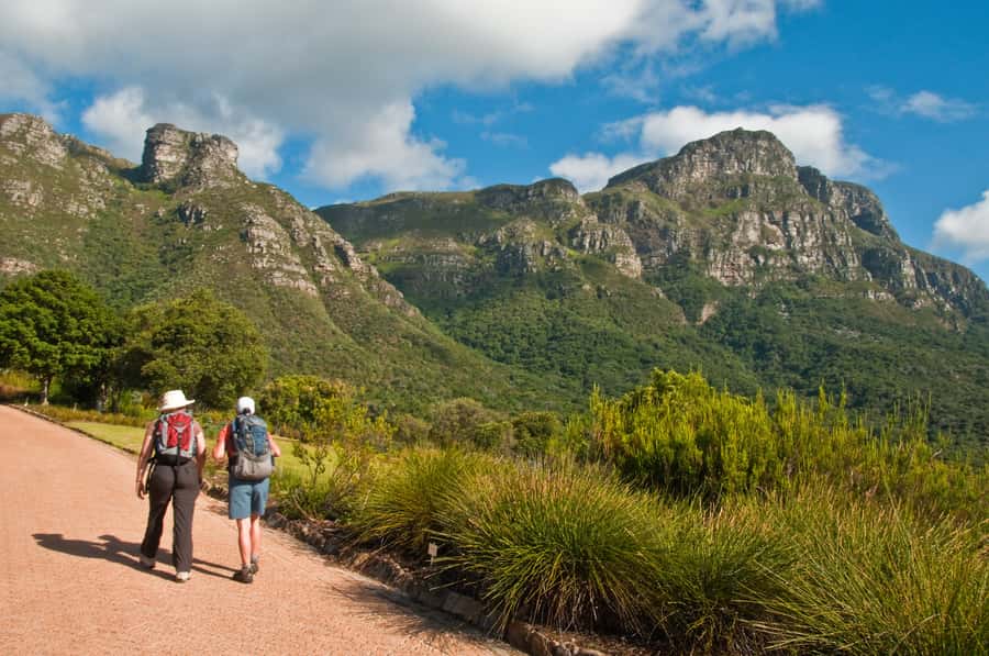Cape Town: Skeleton Gorge and Kirstenbosch Gardens Hike - Zig-zags to the top and the payoff: Table Mountain’s white-sand beaches