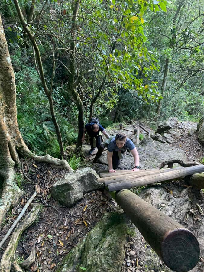 Cape Town: Skeleton Gorge and Kirstenbosch Gardens Hike - Fitness and trail reality: easy label, real steps, plan for your knees