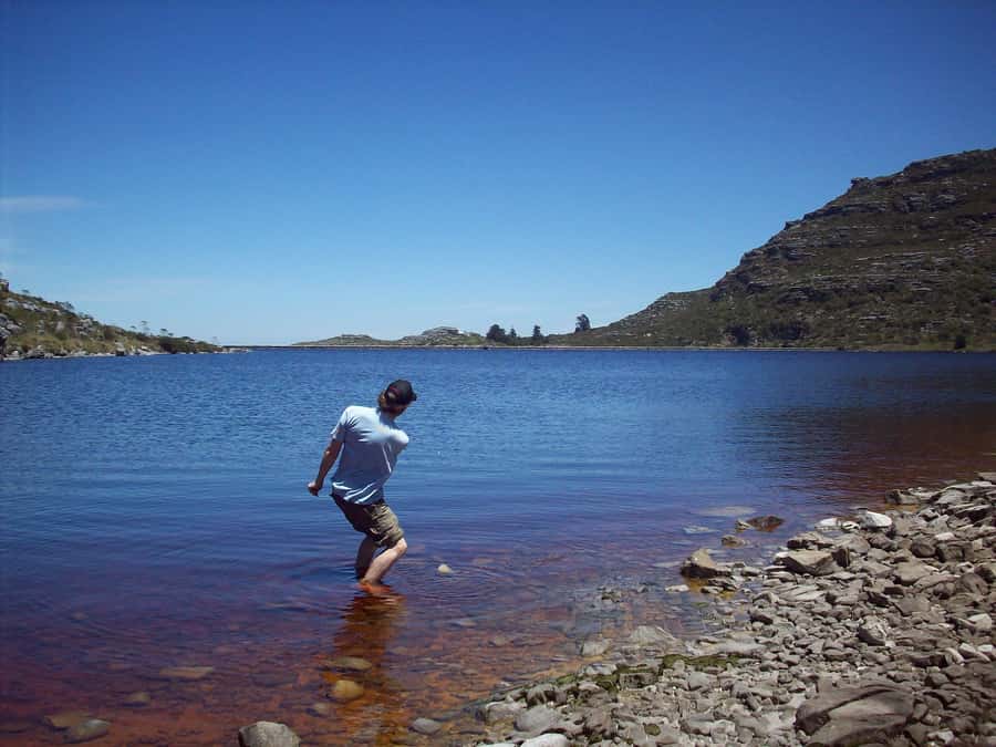 Cape Town: Skeleton Gorge and Kirstenbosch Gardens Hike - Price and value: $93 for a guided plant-and-route focused hike