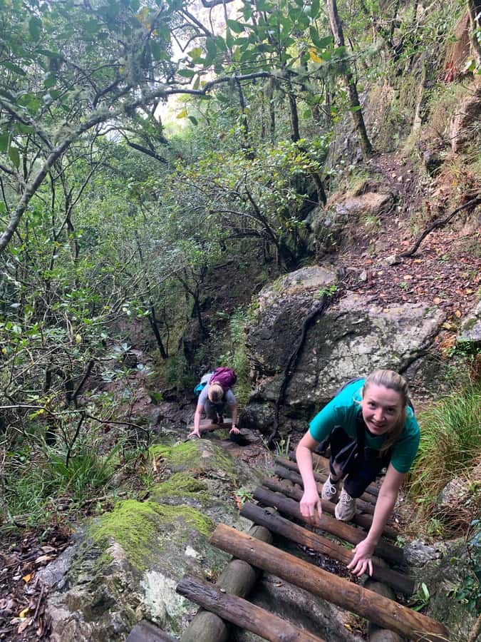Cape Town: Skeleton Gorge and Kirstenbosch Gardens Hike - Up Smuts Track to the official start: setting your pace