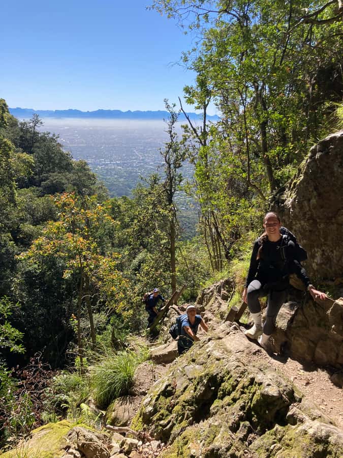 Cape Town: Skeleton Gorge Hike to Table Mountain Summit - Price and Value for a 5 Hour Guided Summit