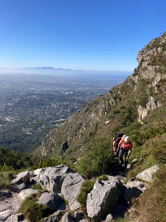 Cape Town: Skeleton Gorge Hike to Table Mountain Summit - The Gritty Work: Indigenous Forest Paths, Streams, and Ladders