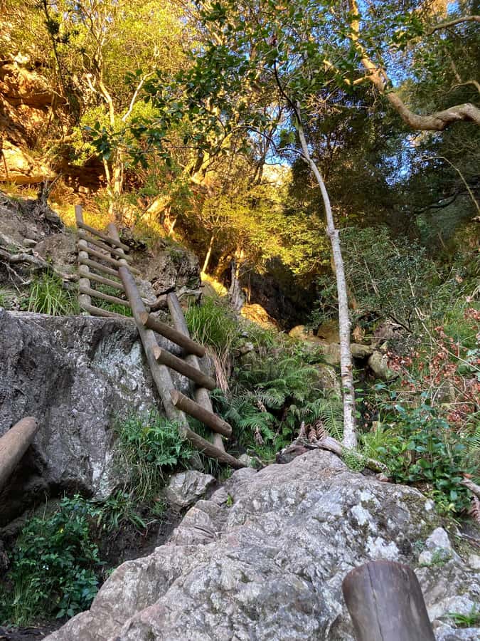 Cape Town: Skeleton Gorge Hike to Table Mountain Summit - Who This Hike Fits Best (and Who Should Skip It)