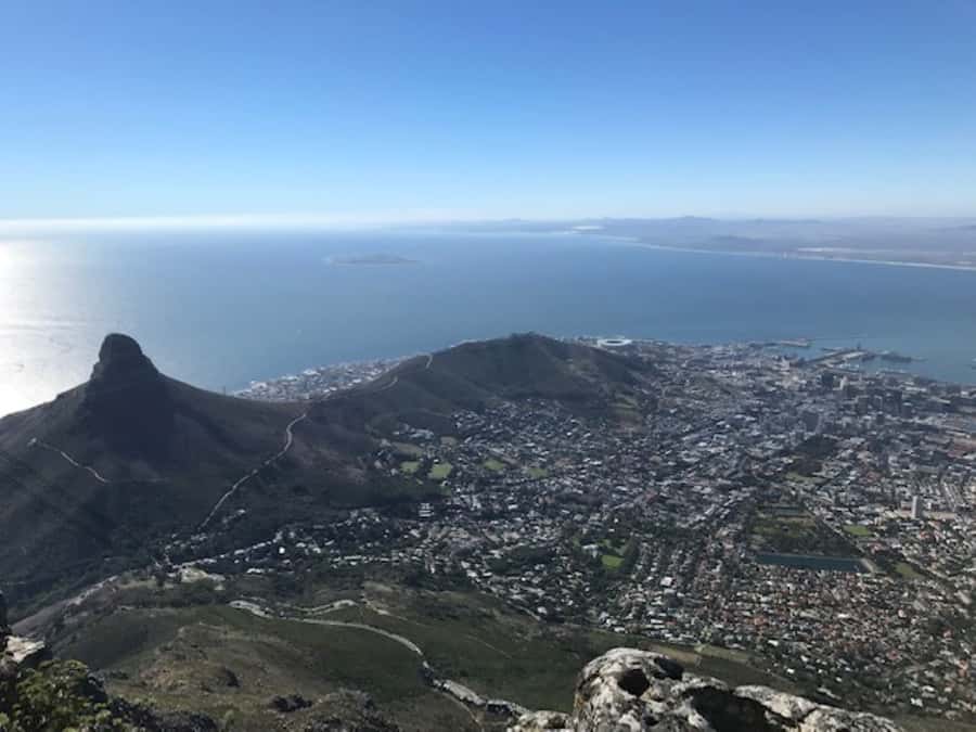 Cape Town: Some Attractions of the Cape (private & exclusiv) - Boulders penguins: watching African penguins with zero stress
