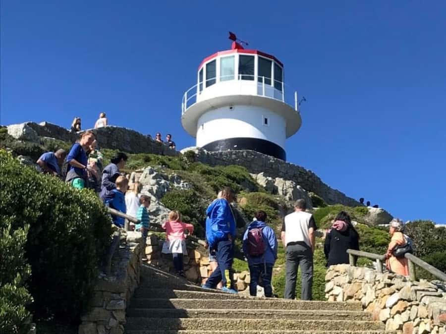 Cape Town: Some Attractions of the Cape (private & exclusiv) - Who this tour suits best