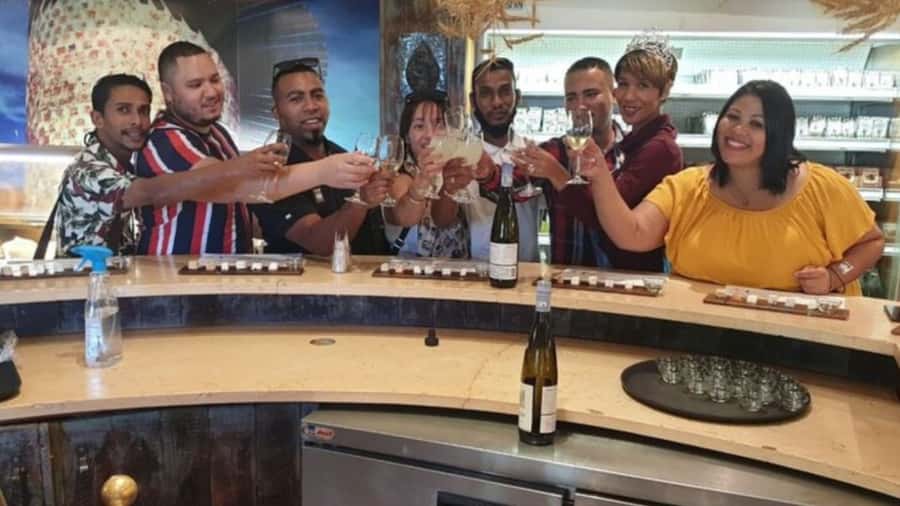 Cape Town: Stellenbosch, Franschhoek and Paarl Wine Day Trip - The Cellar Tour: What Wine Production Actually Looks Like