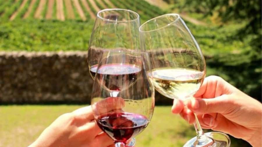 Cape Town: Stellenbosch, Franschhoek and Paarl Wine Day Trip - Stellenbosch Wine Experience: French-Style Influence With a South African Touch