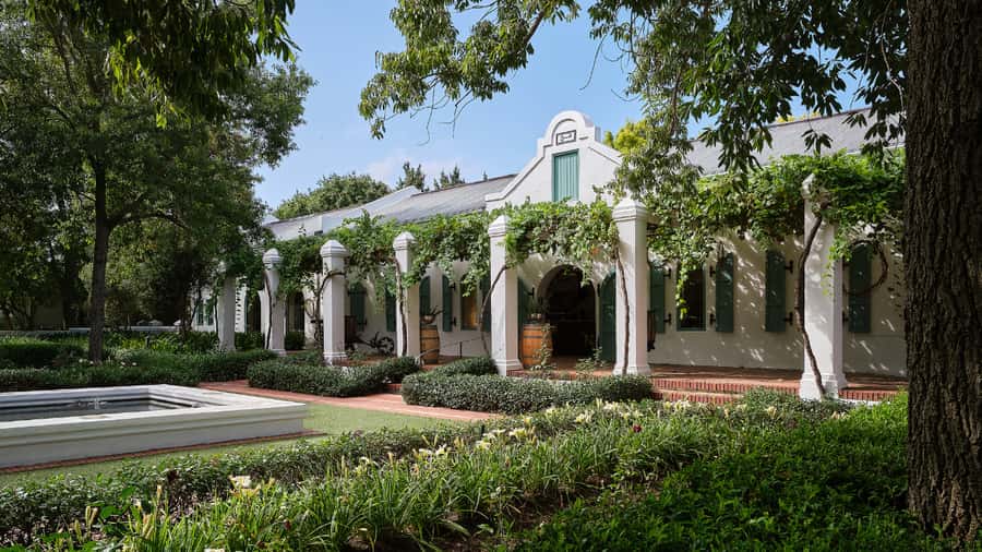 Cape Town: Stellenbosch, Franschhoek and Paarl Wine Day Trip - Biltong and Wine Pairing: The Savory Moment People Remember