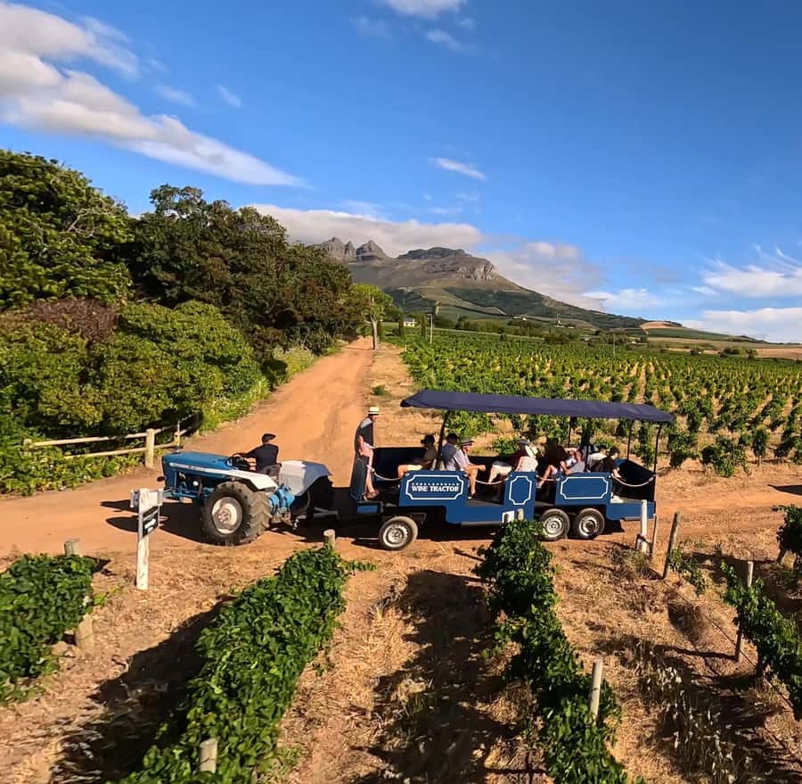 Cape Town: Stellenbosch Hop-On Hop-Off Tractor Transfer - Key things to know before you ride