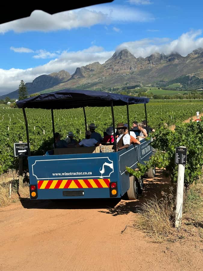 Cape Town: Stellenbosch Hop-On Hop-Off Tractor Transfer - Who This Tour Fits Best, and Who Might Feel Frustrated