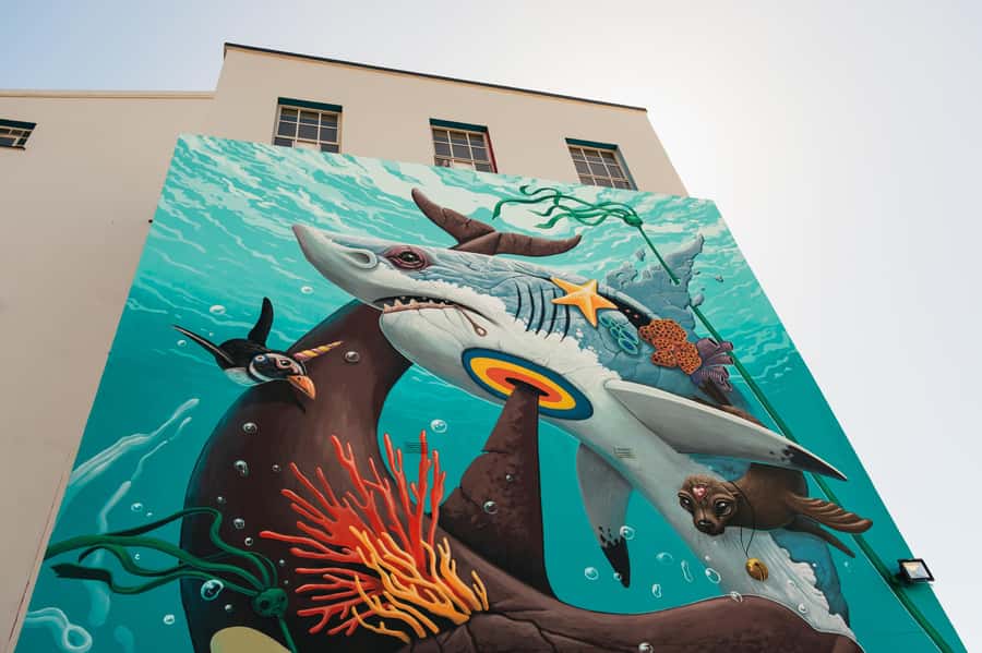 Cape Town: Street Art Walking Tour in Woodstock - Start at Salt Circle Arcade, Then Let the Neighborhood Lead