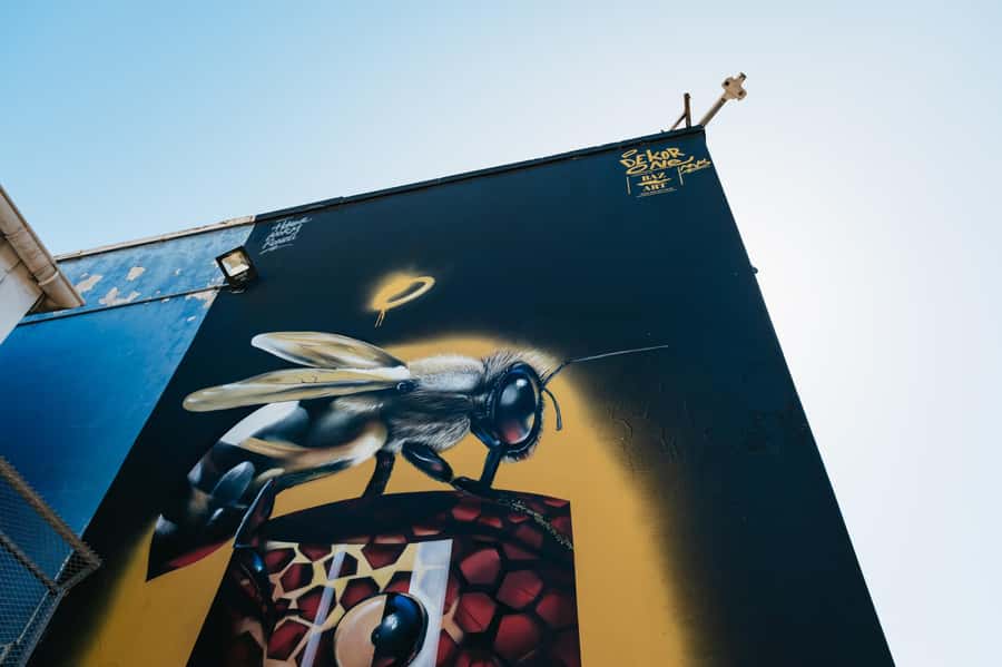 Cape Town: Street Art Walking Tour in Woodstock - Salt Orchard Unit B10: Coffee, Craft, and Local Rhythm