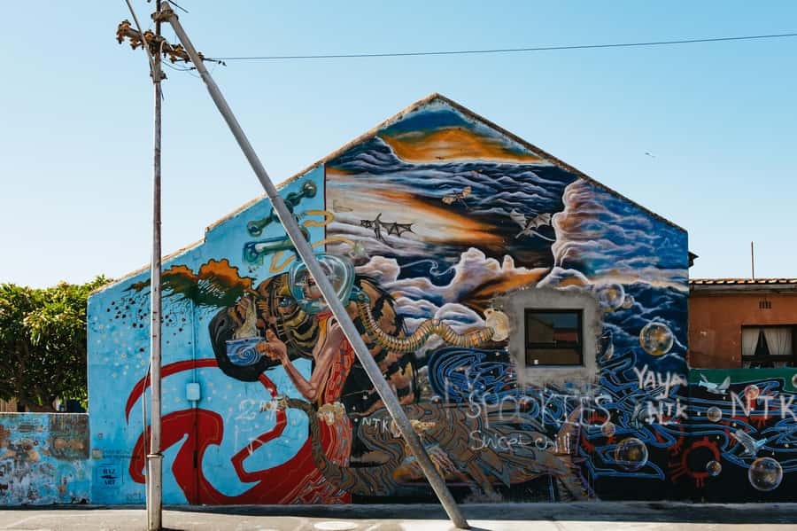 Cape Town: Street Art Walking Tour in Woodstock - The Old Biscuit Mill Stop: Art Next to Real Institutions