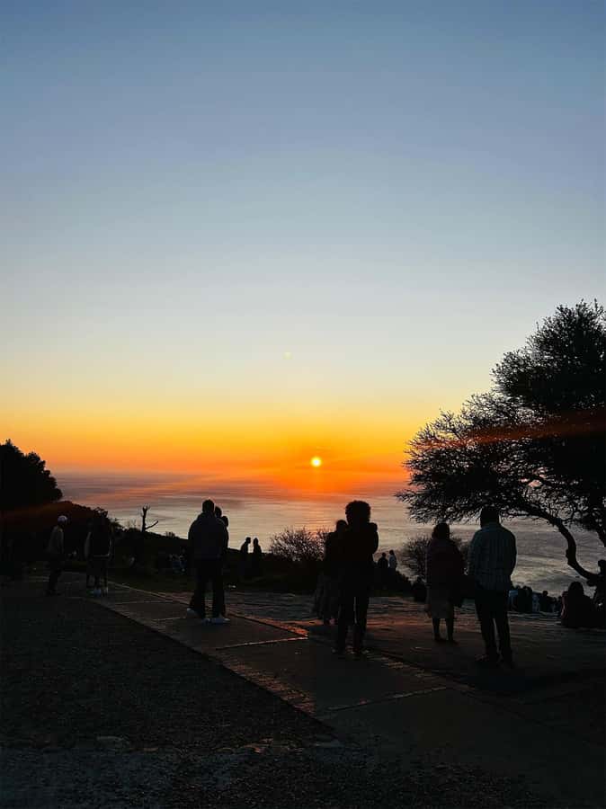 Cape Town: Sunset Bus Tour with Picnic on Signal Hill - Timing the Return After Sunset: Don’t Miss the Bus