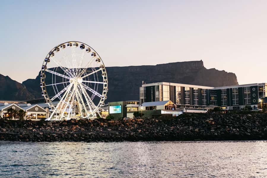 Cape Town: Sunset Catamaran Cruise on Table Bay with Bubbles - Practical Tips So You Enjoy Every Minute of the 90 Minutes