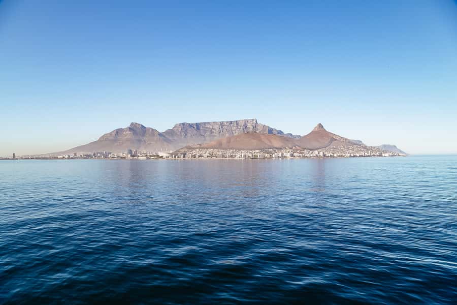 Cape Town: Sunset Champagne Cruise - Price and Value: Why $46 Feels Reasonable